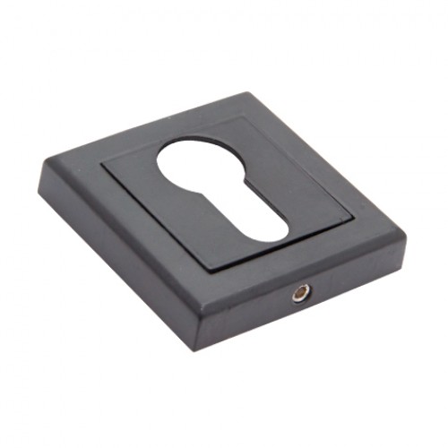 Ключевая накладка Adden Bau на квадратной розетке SC Q001 (Черный)